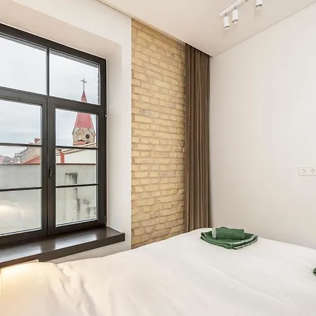 公寓 Angel House Vilnius, 27a 维尔纽斯
