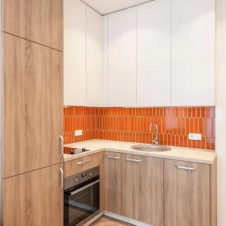 Angel House Vilnius, 27a 公寓 维尔纽斯